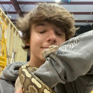 Meet your Posher, Gracie